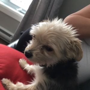 Meet your Posher, Marie-claudel